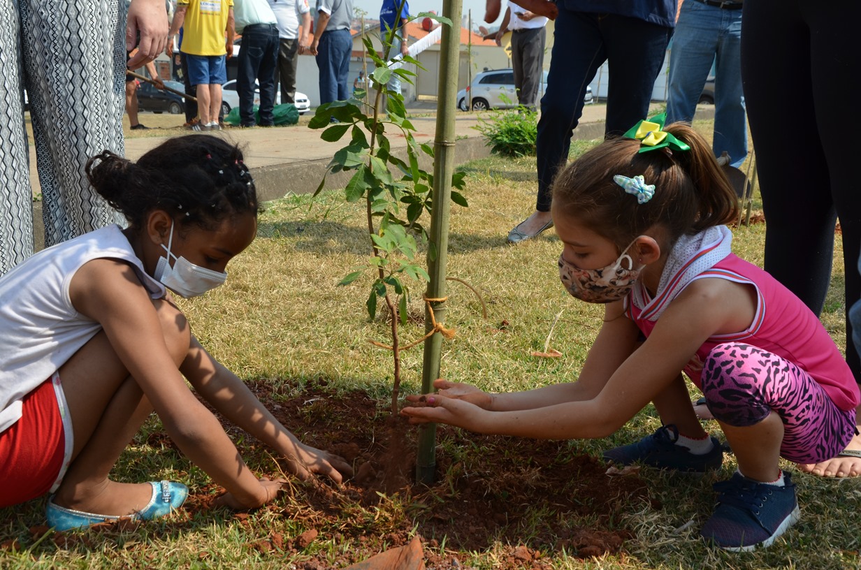 Itapira Celebra Dia Da Árvore Com Plantio De 100 Mudas Gazeta Itapirense 8732