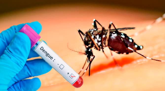 Mais seis casos de dengue são confirmados em Itapira