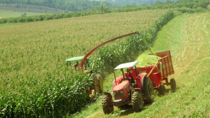 Artigo: O cenário do agronegócio brasileiro