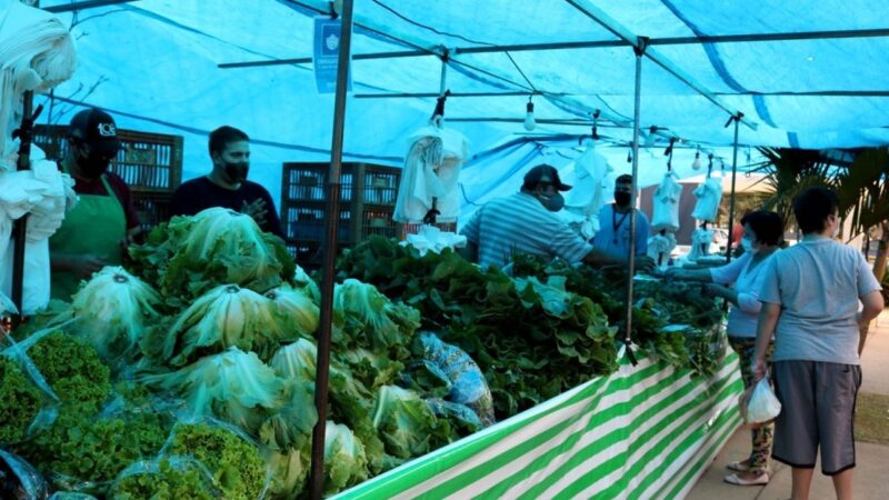 Secretaria de Agricultura homenageia Produtor Rural