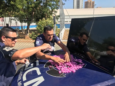 GM prende ladrão, recupera TV e acha drogas no São Judas