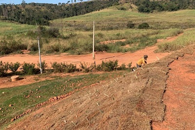 Ações no aterro cumprem normas e favorecem excelente avaliação