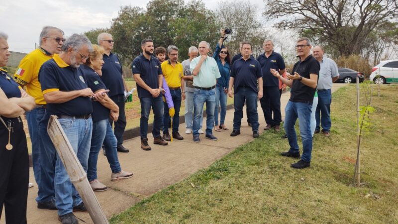 Ação teve plantio de 100 mudas de árvores