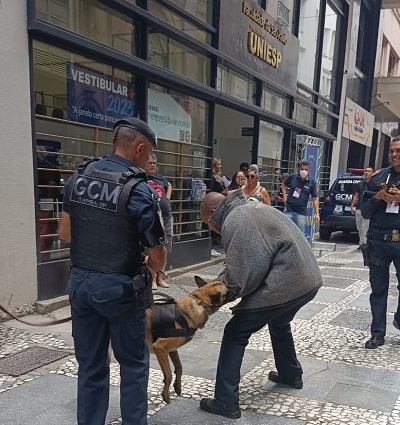 Em São Paulo, Canil da GCM faz apresentação