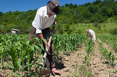 Produtor rural tem que entregar a DIPAM