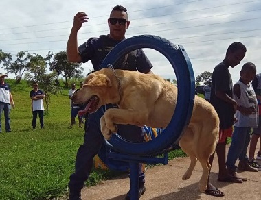 Em pleno Carnaval, Canil da GCM se apresenta no Luppi