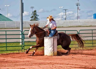 APAE confirma para abril 5ª Festa do Cavalo