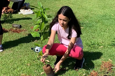 Dia Internacional da Biodiversidade é comemorado com ações ambientais