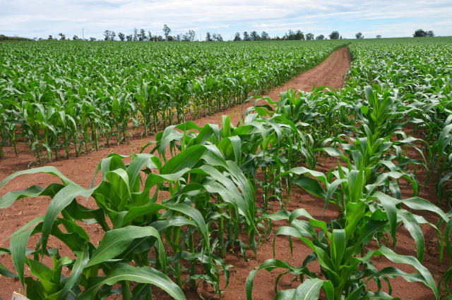 Mutirão de atendimento do Cadastro Ambiental Rural é sexta