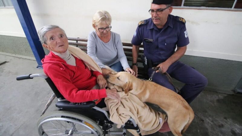 Canil leva alegria para vovôs e vovós do Lar São Vicente