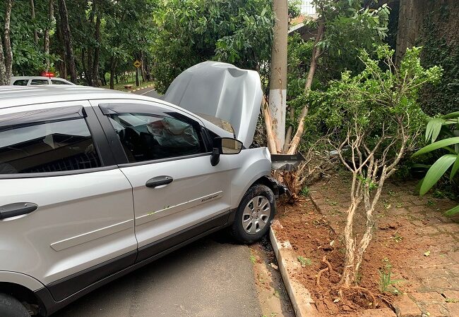 Mulher desvia de um pato e derruba árvore no Zerão