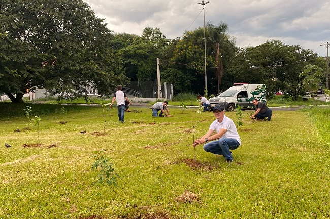 Comdema realiza última plenária e promove o plantio de árvores