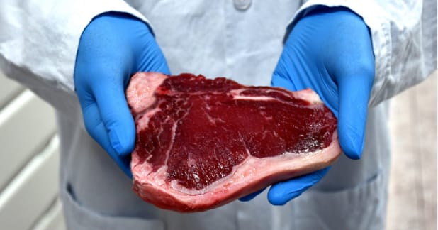Carne cultivada em laboratório divide opinião em Itapira
