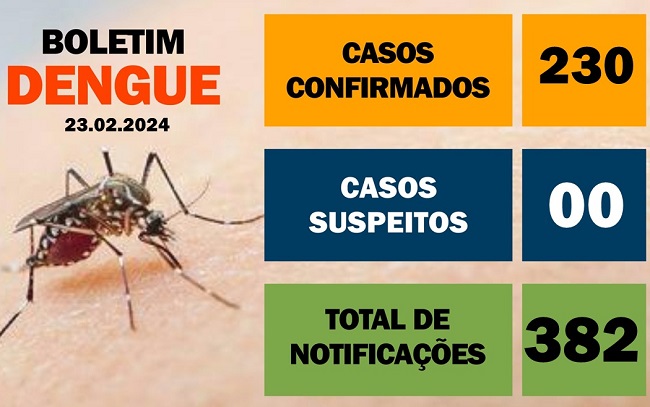 Casos de dengue sobem 95% em uma semana