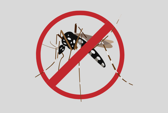 Boa notícia: casos de dengue recuaram 55% em uma semana