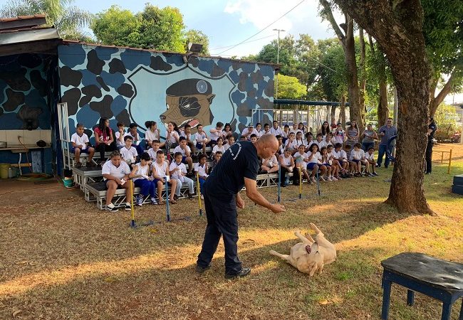 Guarda Municipal recebe alunos em sua sede para atividade educativa