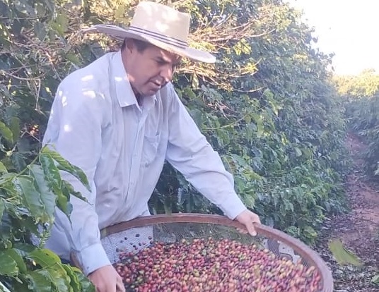 Jacutinga produz um dos cafés de excelência do Sul de Minas