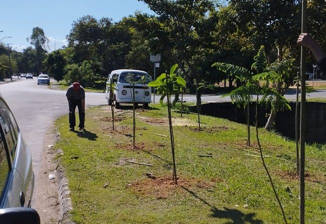 SAMA comemora o Dia Mundial do Meio Ambiente com ações pela cidade