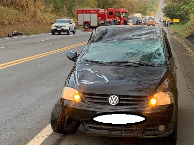 Cavalo na pista causa grave acidente envolvendo 3 veículos