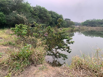 Jovem que estava desaparecido é encontrado morto em lagoa no Cubatão