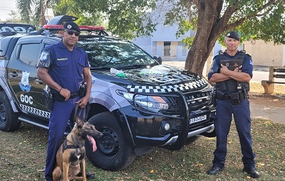 Farejador Zeus da GM encontra carga de maconha e pó