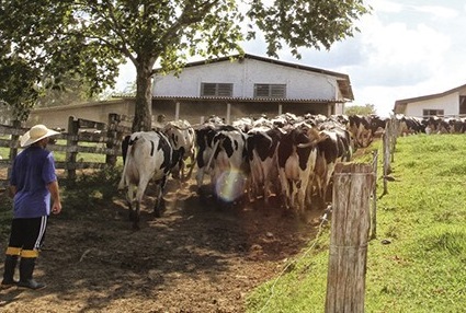 Defesa Agropecuária realiza importante palestra em Itapira