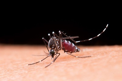 Dengue fez mais três vítimas fatais em Itapira   