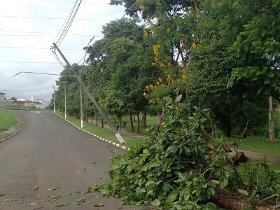 Ventania derruba árvore, ‘deita’ poste e interdita via no Santa Bárbara